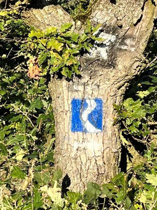 Appartamento Rheinauszeit Rheinbrohl Esterno foto